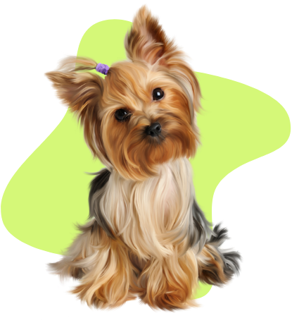 Relation Canine 85 Education Canine La Roche Sur Yon Chien Presta 1 Relation Canine 85 Education Canine La Roche Sur Yon Chien Presta 1